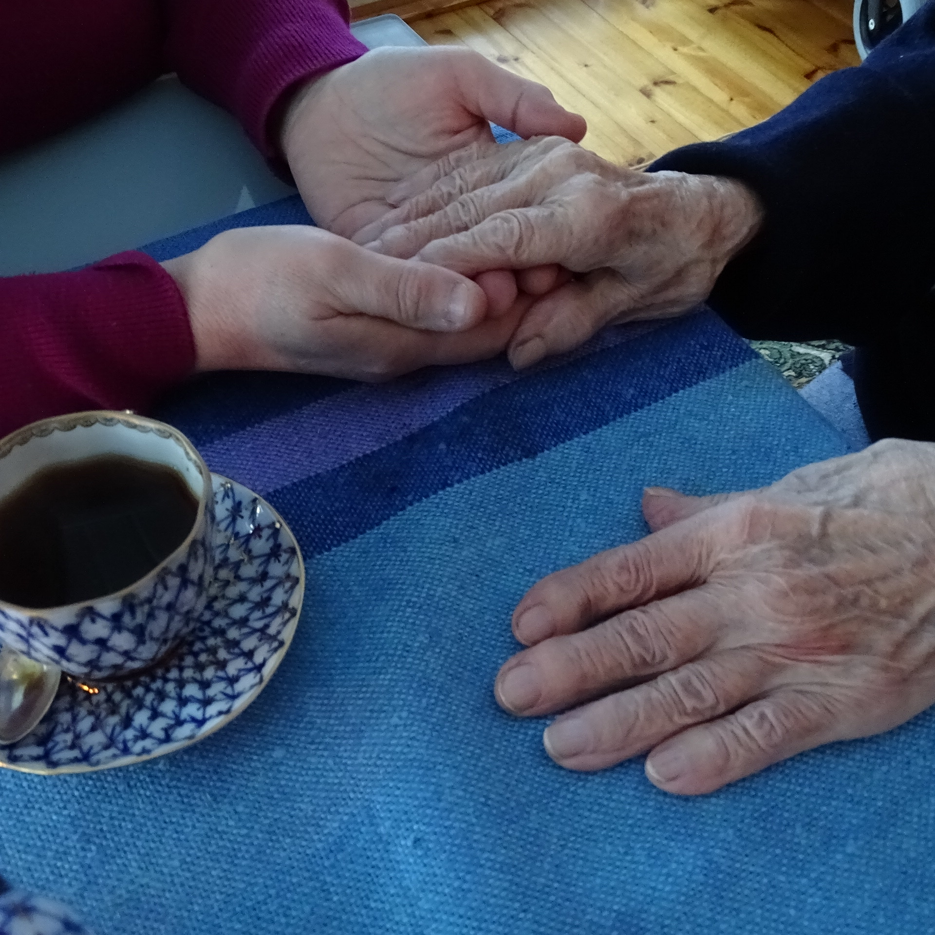 VALTUUSTOALOITE TURVAPUHELINASIAKKAIDEN PALVELUIDEN TURVAAMINEN YÖAIKAAN